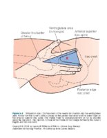 Fig03-02C.jpg
