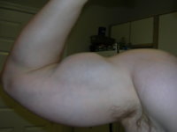 biceps.jpg