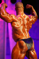2005arnoldmen110.jpg