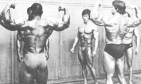 72 - Back Double.jpg
