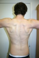 6-6-08_back_best.jpg