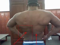 brolic2.jpg