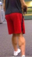 calves3.jpg