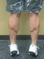 Calves 2.jpg
