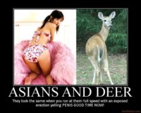 azn deer.jpg