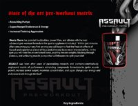 assault2.jpg