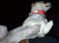 IMG00004 - Copy.jpg