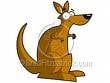kangaroocartoon.jpg