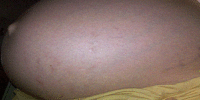 belly2.gif