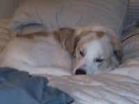 IMG00131.jpg