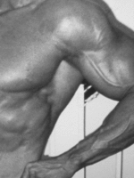 vascular.gif