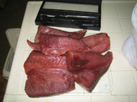 IMG_4340 copy.JPG