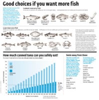 Consumer-Reports-Reveals-Low-Mercury-Fish-Choices.jpg