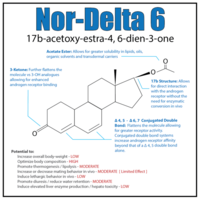 Nor-Delta_6_grande.png