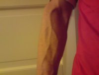 veins.JPG
