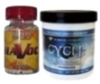 havoc_cycle_support_stack_large.jpg