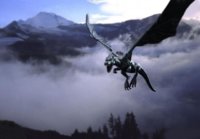 Black-Dragon-n_013.jpg