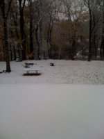 snowphoto.jpg