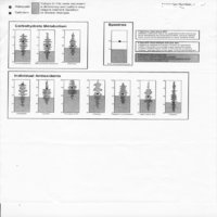 SpectraCell-Page-6.jpg