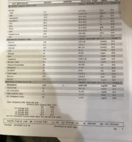 IMG_1001.JPG