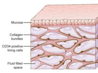 new-organ.jpg new-organ.jpg