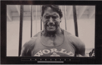 Arnold-Schwarzenegger-intensity.gif