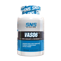 VASO6 Render.png