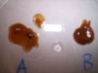 A and B-resized.jpg