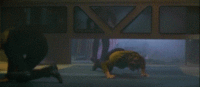 ibtl2.gif