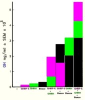 figure1.jpg