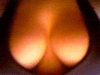 boob giggle.gif