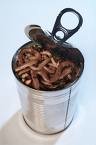 canofworms.jpg