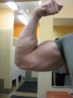 Arm Flex.JPG