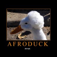 me_1204838008_motivational-afroduck.jpg