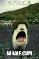 Whalecum.JPG.34e0f7e35ae0c5d9a6bd40001e75be1e.JPG