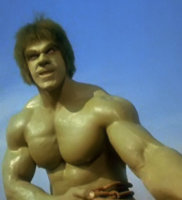 Incredible-Hulk-David-Banner-TV-Series-Bixby-Ferrigno-2-e.jpg