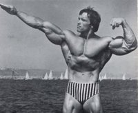 40-Insane-Arnold-Schwarzenegger-Bodybuilding-Pictures27-600x492.jpg