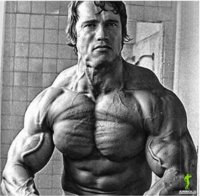 Arnold-Schwarzenegger-Bodybuilding-Pictures-38.jpg