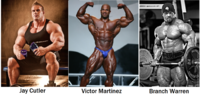 Bodybuilders-Jay-Cutler-Victor-Martinez-Branch-Warren.png