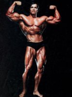 30-Arnold-Schwarzenegger-Bodybuilder-Mr-Olympia-Universe-14-x19-Poster.jpg_640x640.jpg