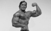 Arnold-Schwarzenegger-696x426.jpeg