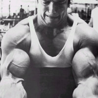Arnold-Schwarzenegger-Bodybuilding-Arnold-Schwarzenegger-Workout-Gym-11.jpg