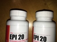 Epi Seal 1.JPG