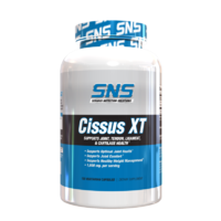 Cissus-XT-Rendering.png