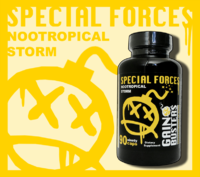 Special Forces Poster.png
