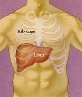 liver_damage.jpg