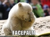 FACEPALM bear.jpg