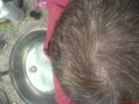hair6.jpg