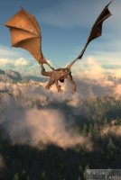dragon-flight.jpg