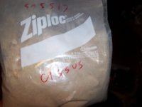 cissus.jpg